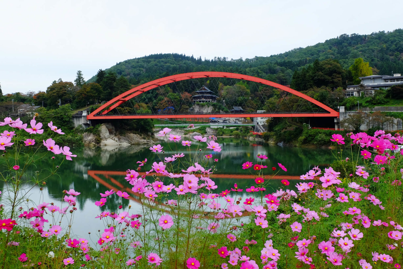 柳津町の桜マップ 瀞流の宿かわち~会津柳津温泉郷