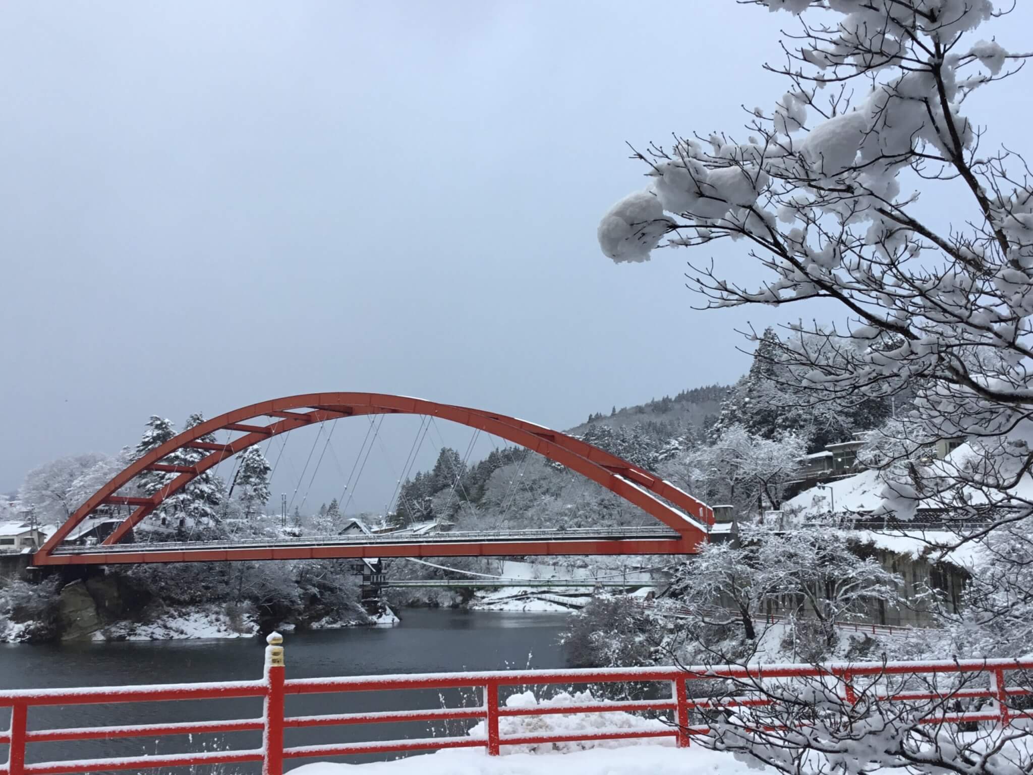 今年一番の冬景色