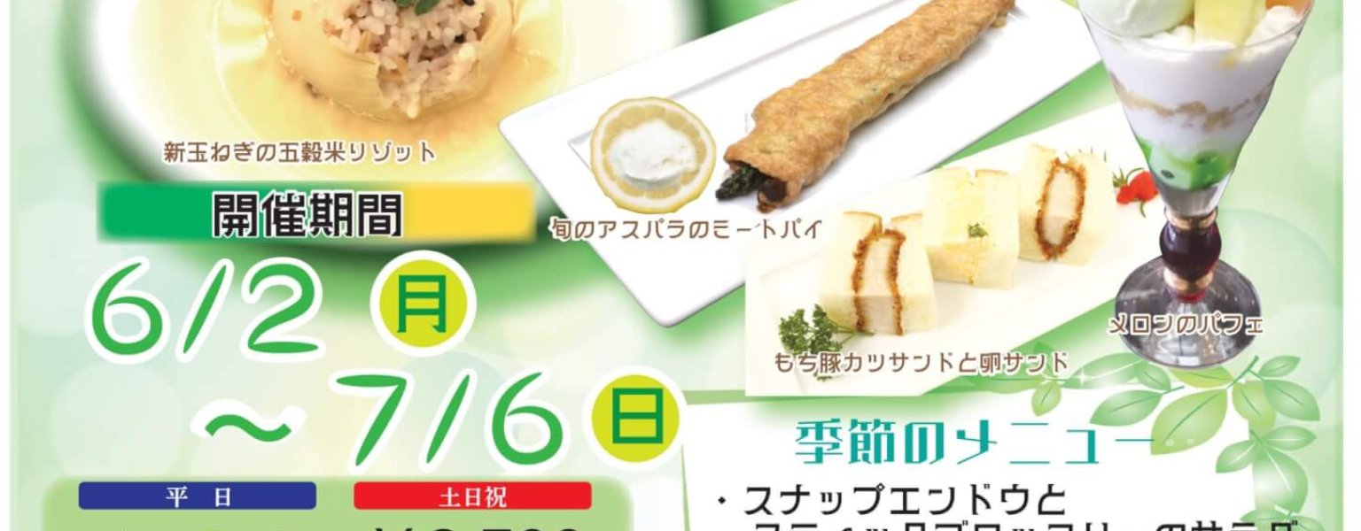 新緑ランチ2025