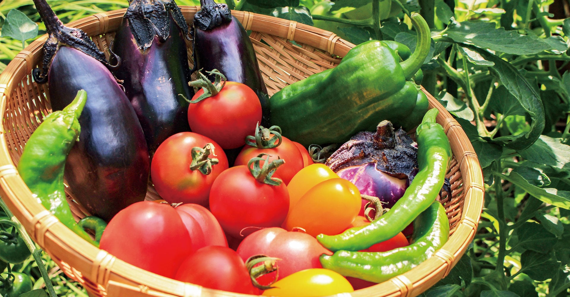 スーパーマーケット事業 かわちやグループ